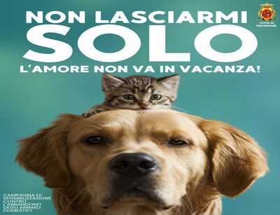 Frosinone, parte la campagna “Non lasciarmi solo. L’amore non va in vacanza!”