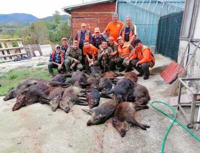 18 cinghiali abbattuti dalla squadra “la Bestia Nera”